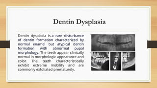 Dentin- Development of tooth and dentin .pptx