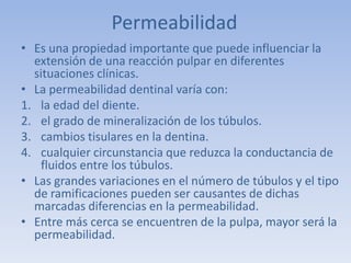 Permeabilidad
• Es una propiedad importante que puede influenciar la
  extensión de una reacción pulpar en diferentes
  situaciones clínicas.
• La permeabilidad dentinal varía con:
1. la edad del diente.
2. el grado de mineralización de los túbulos.
3. cambios tisulares en la dentina.
4. cualquier circunstancia que reduzca la conductancia de
   fluidos entre los túbulos.
• Las grandes variaciones en el número de túbulos y el tipo
  de ramificaciones pueden ser causantes de dichas
  marcadas diferencias en la permeabilidad.
• Entre más cerca se encuentren de la pulpa, mayor será la
  permeabilidad.
 