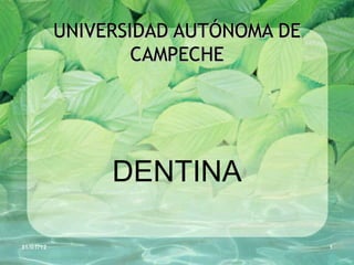 UNIVERSIDAD AUTÓNOMA DE CAMPECHE DENTINA 31/01/12 