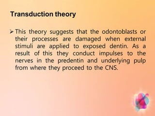 Transduction theory
 This theory suggests that the odontoblasts or
their processes are damaged when external
stimuli are applied to exposed dentin. As a
result of this they conduct impulses to the
nerves in the predentin and underlying pulp
from where they proceed to the CNS.
 