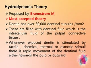 Hydrodynamic Theory
 Proposed by Brannstrom M
 Most accepted theory
 Dentin has over 30,000 dentinal tubules /mm2
 These are filled with dentinal fluid which is the
intracellular fluid of the pulpal connective
tissue .
 Whenever exposed dentin is stimulated by
tactile , chemical, thermal or osmotic stimuli
there is rapid movement of the dentinal fluid
either towards the pulp or outward.
 