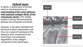 dentin bond agents upto 5th gen.pptx conservative dentistry | PPTX