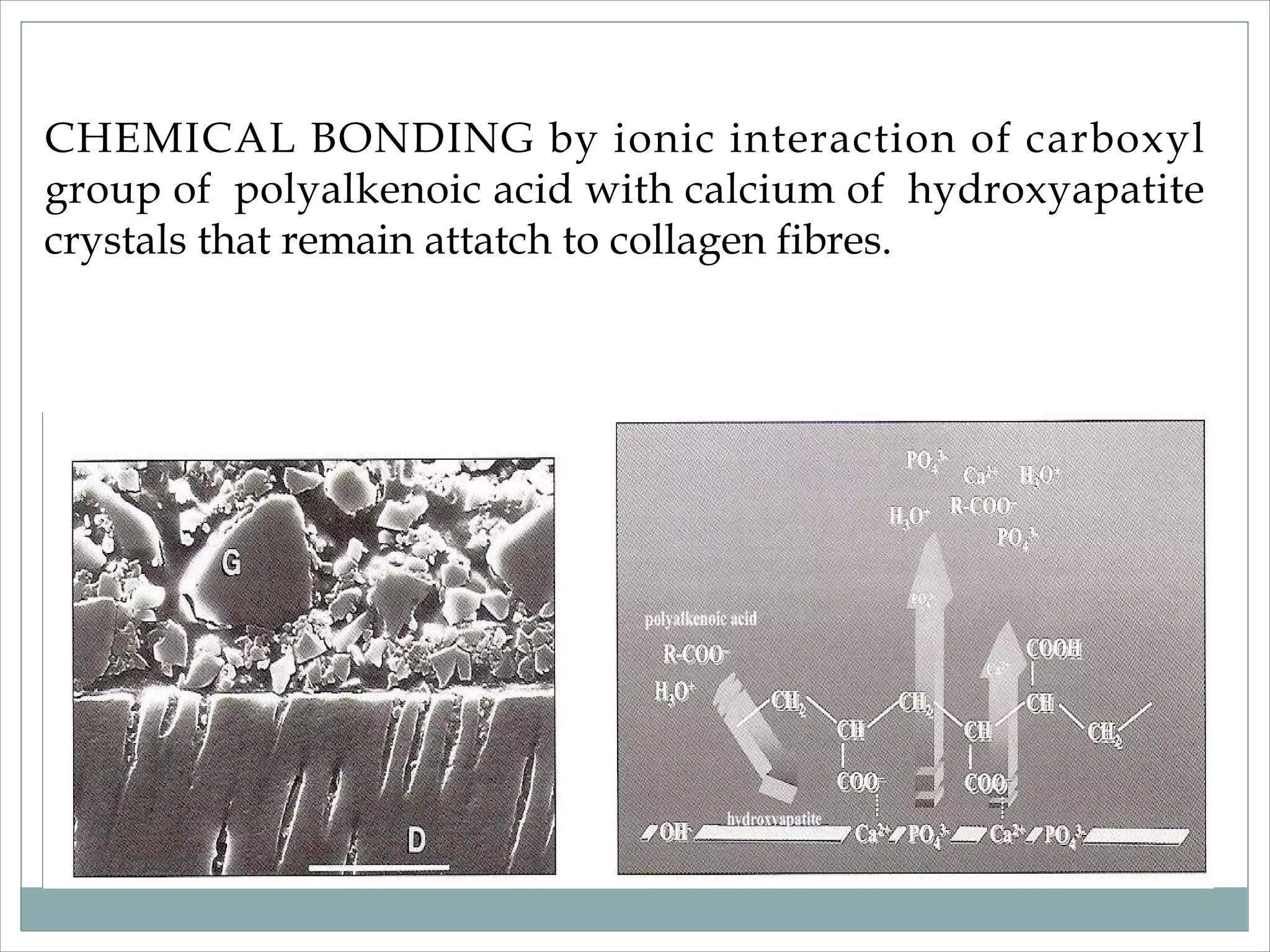 Dentin bonding agent