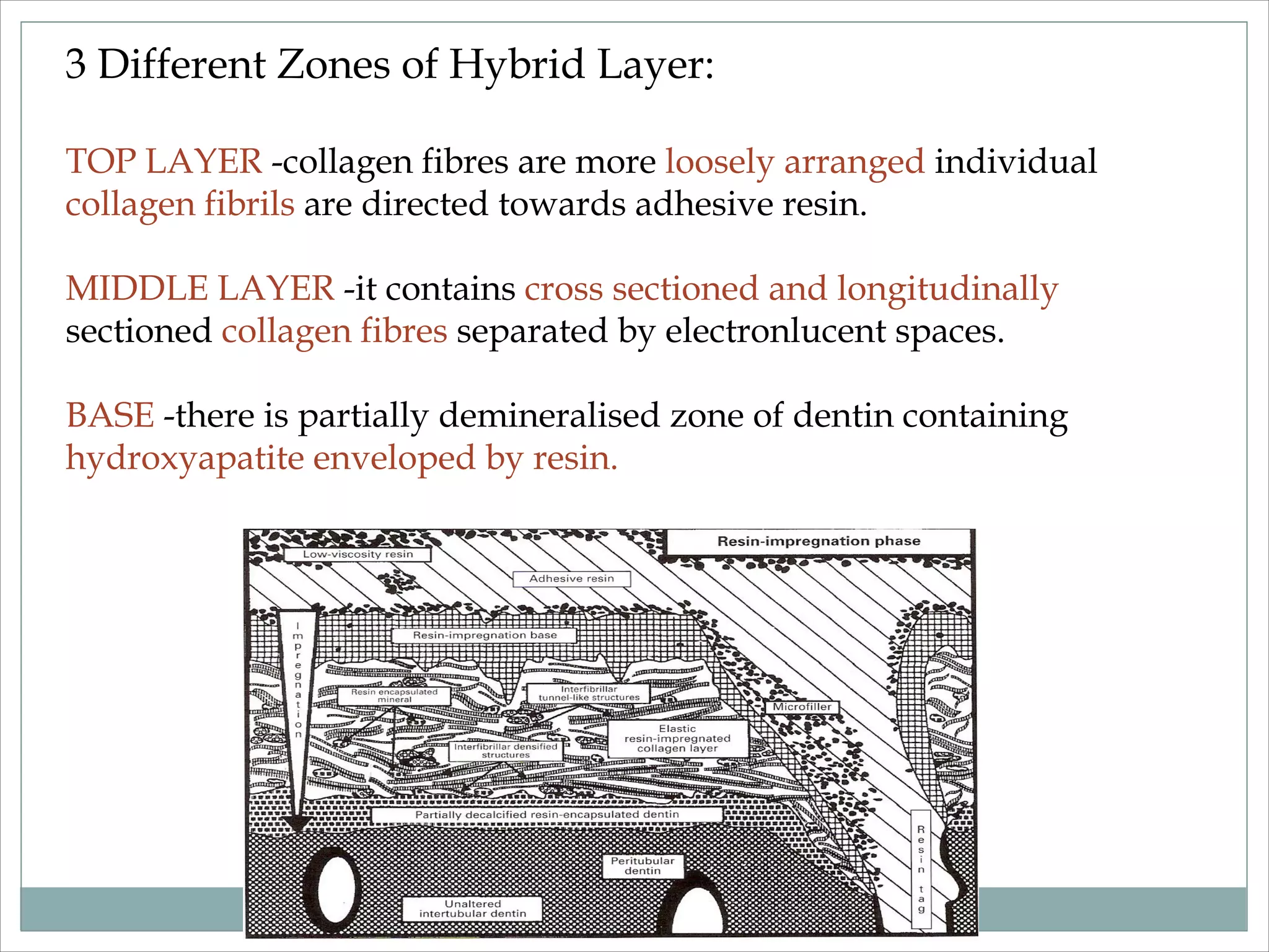 Dentin bonding agent