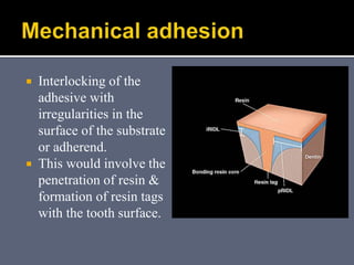  Interlocking of the
adhesive with
irregularities in the
surface of the substrate
or adherend.
 This would involve the
penetration of resin &
formation of resin tags
with the tooth surface.
 