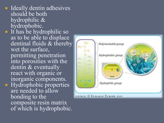  Ideally dentin adhesives
should be both
hydrophilic &
hydrophobic.
 It has be hydrophilic so
as to be able to displace
dentinal fluids & thereby
wet the surface,
permitting penetration
into porosities with the
dentin & eventually
react with organic or
inorganic components.
 Hydrophobic properties
are needed to allow
bonding to the
composite resin matrix
of which is hydrophobic.
 