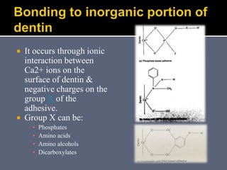  It occurs through ionic
interaction between
Ca2+ ions on the
surface of dentin &
negative charges on the
group X of the
adhesive.
 Group X can be:
▪ Phosphates
▪ Amino acids
▪ Amino alcohols
▪ Dicarboxylates
 
