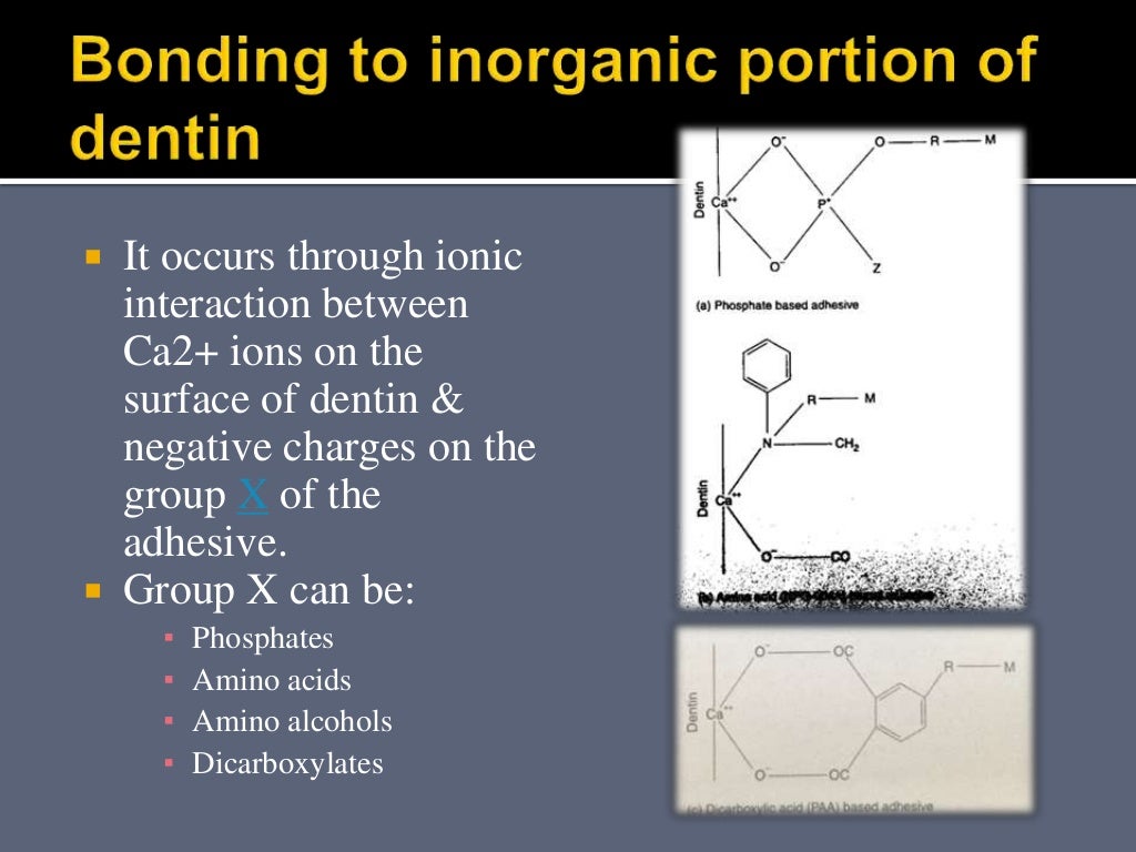 Dentin bonding agents