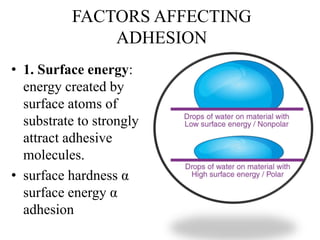 Dentin bonding agents includes history ,adhesion in enamel, adhesion in ...