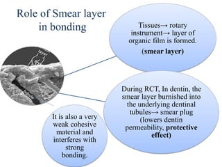 Smearing Adhesion Example Dentin bonding agents includes history ,adhesion in enamel, adhesion in ...