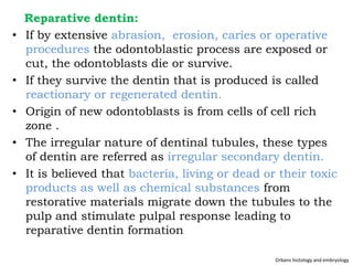 Dentin development | PPTX