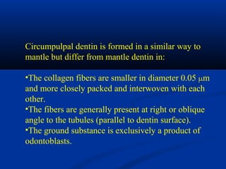 Circumpulpal dentin is formed in a similar way to
mantle but differ from mantle dentin in:
•The collagen fibers are smaller in diameter 0.05 µm
and more closely packed and interwoven with each
other.
•The fibers are generally present at right or oblique
angle to the tubules (parallel to dentin surface).
•The ground substance is exclusively a product of
odontoblasts.
 
