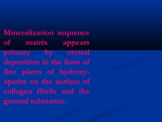 Mineralization sequence
of matrix appears
primary by crystal
deposition in the form of
fine plates of hydroxy-
apatite on the surface of
collagen fibrils and the
ground substance.
 