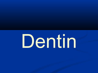 Dentin
 
