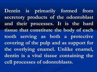 Dentin is primarily formed from
secretory products of the odontoblast
and their processes. It is the hard
tissue that constitute the body of each
tooth serving as both a protective
covering of the pulp and as support for
the overlying enamel. Unlike enamel,
dentin is a vital tissue containing the
cell processes of odontoblasts.
 