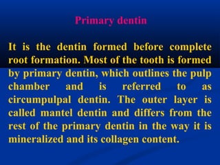 Primary dentin
It is the dentin formed before complete
root formation. Most of the tooth is formed
by primary dentin, which outlines the pulp
chamber and is referred to as
circumpulpal dentin. The outer layer is
called mantel dentin and differs from the
rest of the primary dentin in the way it is
mineralized and its collagen content.
 