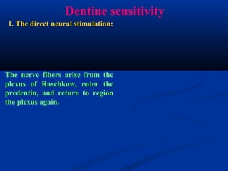 Dentine sensitivity
The nerve fibers arise from the
plexus of Raschkow, enter the
predentin, and return to region
the plexus again.
I. The direct neural stimulation:
 