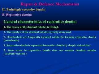 Dentine | PPT