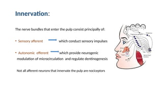 Pulp Bundle Dentine pulp complex. STRUCTURE ORESENTATION PPT | PPTX