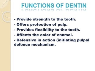 - Provide strength to the tooth. 
- Offers protection of pulp. 
- Provides flexibility to the tooth. 
- Affects the color of enamel. 
- Defensive in action (initiating pulpal 
defence mechanism. 
 