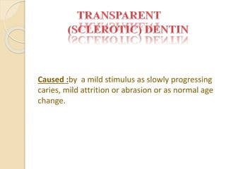 Caused :by a mild stimulus as slowly progressing 
caries, mild attrition or abrasion or as normal age 
change. 
 