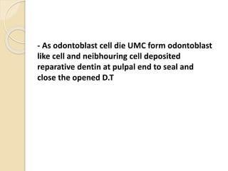 - As odontoblast cell die UMC form odontoblast 
like cell and neibhouring cell deposited 
reparative dentin at pulpal end to seal and 
close the opened D.T 
 