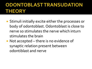  Stimuli initially excite either the processes or
body of odontoblast. Odontoblast is close to
nerve so stimulates the nerve which inturn
stimulates the brain
 Not accepted – there is no evidence of
synaptic relation present between
odontiblast and nerve
 