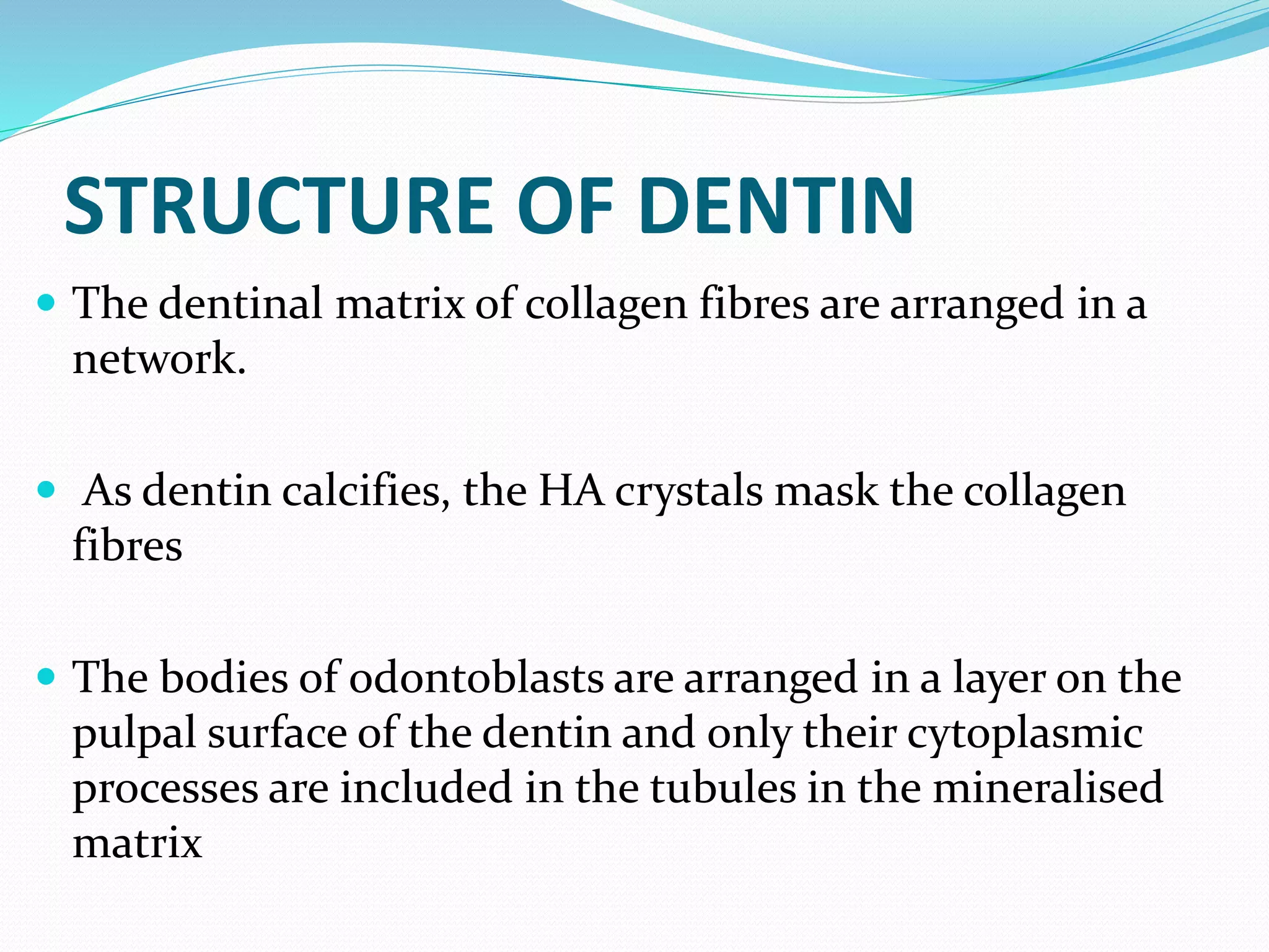 Dentin with emphasis on applied physiology and pathology | PPTX