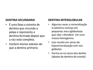 DENTINA SECUNDARIA             DENTINA INTERGLOBULAR
• É uma faixa a estreita de    • Algumas vezes a mineralização
  dentina que circunda a         d adnetina começa em
  polpa e representa a           pequenas area sglobulosas
  dentina formada depois que     que não s efundem em uma
                                 massa homogenea.
  a raiz está completa.
                               • Isso resulta em zonas de
• Contem menos tubulos do
                                 hipomineralização entr eos
  que a dentina primaria         globulos.
                               • Forma-se na coroa dos dentes
                                 (abaixo da dentina do manto)
 