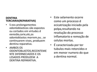 DENTINA                          • Este selamento ocorre
TERCIARIA(REPARATIVA)              como um processo d
• S eos prolongamentos             ecicatrização iniciado pela
  odontoblasticos são expostos     polpa,resultando na
  ou cortados em virtudes d
  eerosão,carie,etc,os
                                   resolução do processo
  odontoblastos morrem,ou , se     inflamatorio e remoção de
  continuarem vivos, produzem      celulas mortas.
  dentina reparativa.            • É caracterizada por ter
• AMBOS OS                         tubulos mais retorcidos e
  ODONTOBLASTOS,RECENTEME
  NTE DIFERNECIADOS E OS           em menor numero do que
  LESADOS PRODUZEM A               a dentina normal.
  DENTINA REPARATIVA.
 