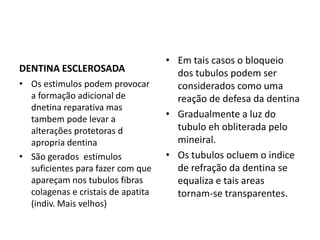 • Em tais casos o bloqueio
DENTINA ESCLEROSADA                   dos tubulos podem ser
• Os estimulos podem provocar         considerados como uma
  a formação adicional de             reação de defesa da dentina
  dnetina reparativa mas
  tambem pode levar a               • Gradualmente a luz do
  alterações protetoras d             tubulo eh obliterada pelo
  apropria dentina                    mineiral.
• São gerados estimulos             • Os tubulos ocluem o indice
  suficientes para fazer com que      de refração da dentina se
  apareçam nos tubulos fibras         equaliza e tais areas
  colagenas e cristais de apatita     tornam-se transparentes.
  (indiv. Mais velhos)
 