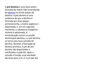 A pré-dentina é uma faixa recém-
formada de matriz não mineralizada
de dentina no limite pulpar da
dentina. A pré-dentina é uma
evidencia de que a dentina é
formada por duas etapas:
primeiramente, a matriz orgânica é
depositada, e, em um segundo
momento, a substancia inorgânica
mineral é adicionada. A
mineralização ocorre na junção
dentina/pré-dentina, e a pré-dentina
se torna uma nova camada de
dentina. Durante a formação da
dentina primária, 4 µm de pré-
dentina são depositados e
calcificados a cada dia. Após a
oclusão e função, essa atividade
decresce para 1,0 a 1,5 µm por dia
 