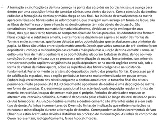 •   A formação e calcificação da dentina começa na ponta das cúspides ou bordas incisais, e avança para
    dentro por uma aposição rítmica de camadas cônicas uma dentro da outra. Com a conclusão da dentina
    radicular, a formação da dentina primária chega ao seu final. No início do desenvolvimento da matriz
    aparecem feixes de fibrilas entre os odontoblastos, que divergem num arranjo em forma de leque. São
    as fibras de Korff e sua origem e função na dentinogênese tem sido objeto de discussão. São
    constituintes importantes na matriz formada inicialmente, devido ao arranjo em leque de suas
    fibras, mas que mais tarde tornam-se compactos feixes de fibrilas paralelas. Os odontoblastos formam
    fibras colágenas e substância amorfa, e estas fibras se dispõem em espirais ao redor das fibrilas de
    Tomes e entre as mesmas, que foram deixadas pelos odontoblastos que se afastaram para o interior da
    papila. As fibras são unidas entre si pela matriz amorfa.Depois que várias camadas de pré-dentina foram
    depositadas, começa a mineralização das camadas mais próximas a junção dentina-esmalte. Forma-se
    então uma faixa de matriz dentinária e os odontoblastos elaboram fosfatase alcalina, dando ao meio
    condições ótimas de pH para que se processe a mineralização da matriz. Nesse ínterim, íons minerais
    transportados pelos capilares sangüíneos da papila depositam-se na matriz orgânica como sais, sob a
    forma de cristais de hidroxiapatita, sobre as superfícies das fibrilas colágenas e na substância
    fundamental. Posteriormente os cristais são depositados dentro das próprias fibrilas. O processo geral
    de calcificação e gradual, mas a região peritubular torna-se muito mineralizada em pouco tempo.
    Embora haja crescimento dos cristais enquanto a dentina amadurece, o tamanho final dos cristais
    permanece muito pequeno (até 0,1).O crescimento aposicional da dentina é uma deposição de matriz
    em forma de camadas. O crescimento aposicional é caracterizado pela deposição regular e rítmica de
    material extracelular, incapaz de crescer mais por si próprio. Períodos de atividade e repouso se
    alternam em intervalos definidos. A matriz é depositada pelas células ao longo do local delineado pelas
    células formadoras. As junções dentina-esmalte e dentina-cemento são diferentes entre si e em cada
    tipo de dente. As linhas incrementares do Owen são linhas de implicação que refletem variações na
    estrutura e mineralização durante a formação de dentina. Correspondem as linhas incrementais de Von
    Ebner que estão acentuadas devido a distúrbios no processo de mineralização. As linhas de contorno de
    Owen representam, radiograficamente, faixas hipocalcificadas.
 