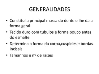 GENERALIDADES
• Constitui a principal massa do dente e lhe da a
  forma geral
• Tecido duro com tubulos e forma pouco antes
  do esmalte
• Determina a forma da coroa,cuspides e bordas
  incisais
• Tamanhos e nº de raizes
 