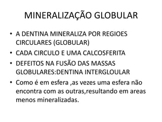 MINERALIZAÇÃO GLOBULAR
• A DENTINA MINERALIZA POR REGIOES
  CIRCULARES (GLOBULAR)
• CADA CIRCULO E UMA CALCOSFERITA
• DEFEITOS NA FUSÃO DAS MASSAS
  GLOBULARES:DENTINA INTERGLOULAR
• Como é em esfera ,as vezes uma esfera não
  encontra com as outras,resultando em areas
  menos mineralizadas.
 