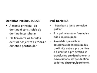 DENTINA INTERTUBULAR             PRÉ DENTINA
• A massa principal da           •  Localiza-se junto ao tecido
  dentina é constituida de         pulpar
  dentina intertubular           • É a primeira a ser formada e
• Ela fica entre os tubulos        não é mineralizada
  dentinarios,entre as zonas d   • A medida que as ibras
  ednetina peritubular             colagenas são mineralizadas
                                   ,no limite entre a pre dentina
                                   e a dentina a pre dentina se
                                   transforma em dentina e uma
                                   nova camada de pre dentina
                                   se forma circumpulparmente.
 