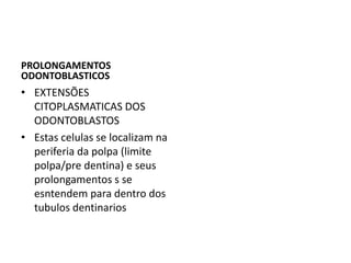 PROLONGAMENTOS
ODONTOBLASTICOS
• EXTENSÕES
  CITOPLASMATICAS DOS
  ODONTOBLASTOS
• Estas celulas se localizam na
  periferia da polpa (limite
  polpa/pre dentina) e seus
  prolongamentos s se
  esntendem para dentro dos
  tubulos dentinarios
 