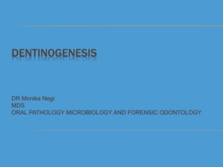 DENTINOGENESIS
DR Monika Negi
MDS
ORAL PATHOLOGY MICROBIOLOGY AND FORENSIC ODONTOLOGY
 