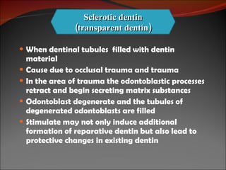 When dentinal tubules  filled with dentin material Cause due to occlusal trauma and trauma In the area of trauma the odontoblastic processes retract and begin secreting matrix substances Odontoblast degenerate and the tubules of degenerated odontoblasts are filled Stimulate may not only induce additional formation of reparative dentin but also lead to protective changes in existing dentin Sclerotic dentin (transparent dentin) 