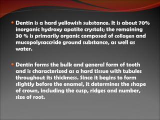 Dentin is a hard yellowish substance. It is about 70% inorganic hydroxy apatite crystals; the remaining 30 % is primarily organic composed of  collagen  and mucopolysaccride ground substance, as well as water. Dentin forms the bulk and general form of tooth and is characterized as a hard tissue with tubules throughout its thickness. Since it begins to form slightly before the enamel, it determines the shape of crown, including the cusp, ridges and number, size of root. 