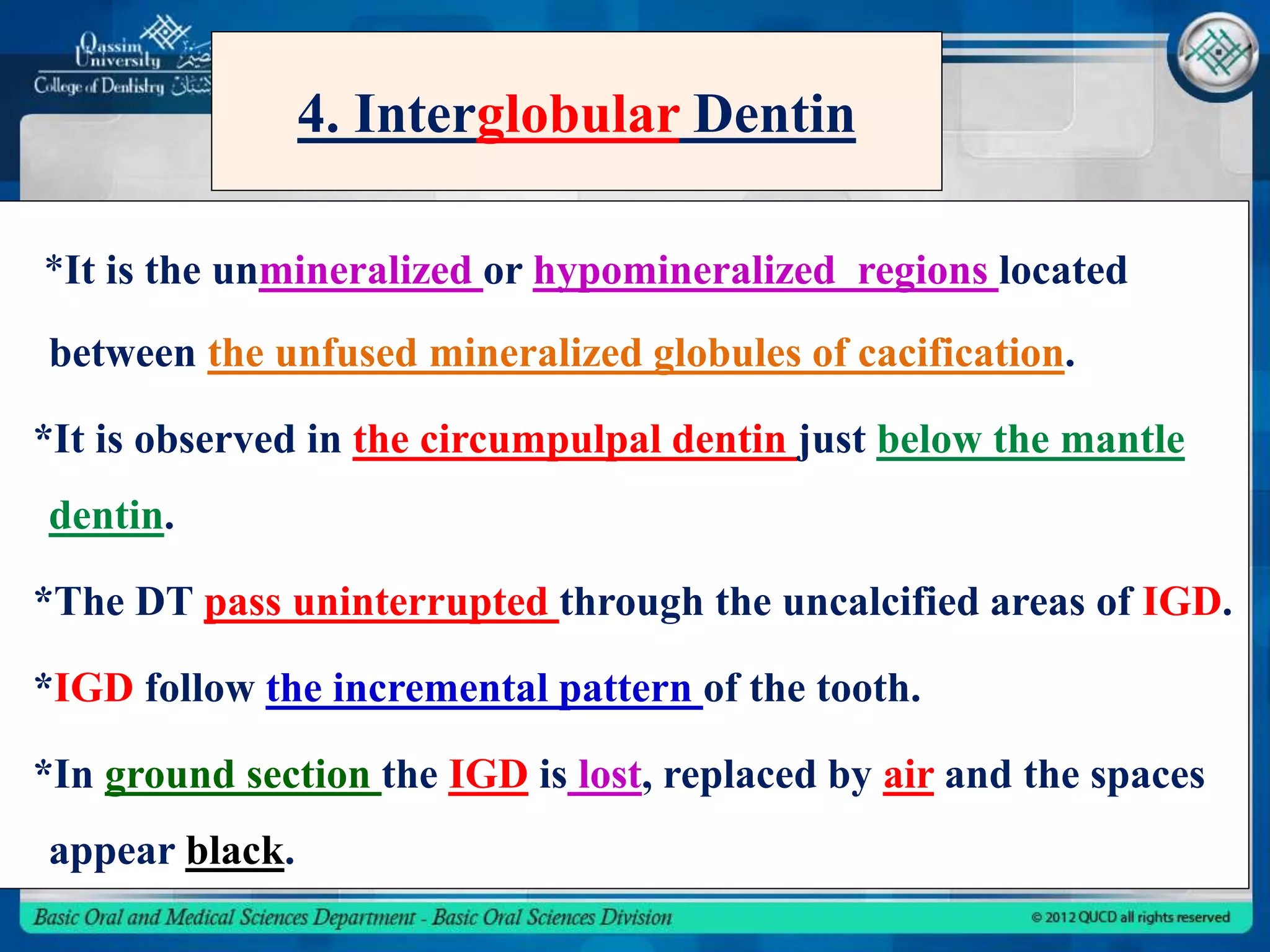 Dentinogenesis & histology of dentin | PPT