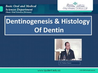 Dentinogenesis & Histology
Of Dentin
Dr/ Hesham Dameer
 