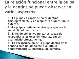  1.-La pulpa es capaz de crear dentina
fisiológicamente y en respuesta a un estímulo
externo.
 2.-La pulpa contiene nervios que aportan la
sensibilidad dentinaria.
 3.-El tejido conectivo pulpar es capaz de
responder a lesiones dentinarias, sin ser
estimulado directamente.
 4.-La encapsulación de la pulpa dentro de la
dentina crea un ambiente que influye
negativamente su potencial de defensa.
 