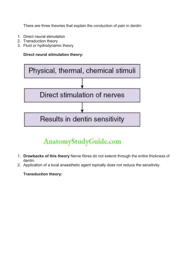 Dentin Oral Histology Notes Dentin Salient Features Of Dentin Docx