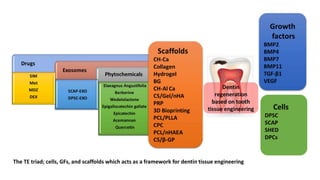 Dentin regeneration based on tooth tissue engineering: A review | PPTX