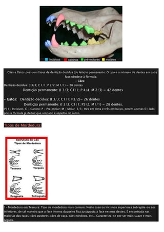 Cães e Gatos possuem fases de dentição decídua (de leite) e permanente. O tipo e o número de dentes em cada
fase obedece à fórmula:
- Cães:
Dentição decídua: (I 3/3; C 1/1; P 2/2; M 1/1) = 28 dentes
Dentição permanente: (I 3/3; C1/1; P 4/4; M 2/3) = 42 dentes
- Gatos: Dentição decídua: (I 3/3; C1/1; P3/2)= 26 dentes
Dentição permanente: (I 3/3; C1/1; P3/2, M1/1) = 28 dentes.
(*) I - Incisivos; C - Canino; P - Pré-molar; M - Molar 3/3- três em cima e três em baixo, porém apenas 01 lado
pois a fórmula já deduz que um lado é espelho do outro.
Tipos de Mordedura:
1- Mordedura em Tesoura: Tipo de mordedura mais comum. Neste caso os incisivos superiores sobrepõe-se aos
inferiores, de tal maneira que a face interna daqueles fica justaposta à face externa destes. É encontrada nas
maiorias das raças: cães pastores, cães de caça, cães nórdicos, etc... Caracteriza-se por ser mais suave e mais
segura.
 