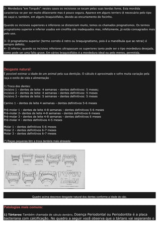 2- Mordedura "em Torquês": nestes casos os incisisvos se tocam pelas suas bordas livres. Esta mordida
caracteriza-se por ser muito dilacerante mas é pouco segura. Aparece em alguns terriers (é necessário pelo tipo
de caça) e, também, em alguns braquicéfalos, devido ao encurtamento do focinho.
Quando os incisivos superiores e inferiores se distanciam muito, temos os chamados prognatismos. Os termos
prognatismo superior e inferior usados em cinofilia são inadequados mas, infelizmente, já estão consagrados mais
pelo uso.
3- O prognatismo superior (termo correto é retro ou braquignatismo, pois é a mandíbula que se retrai) é
sempre defeito.
4- O inferior, quando os incisivos inferiores ultrapassam os superiores tanto pode ser o tipo mordedura desejada,
como pode ser uma falta grave. Em vários braquicéfalos é a mordedura ideal ou pelo menos, permitida.
Desgaste natural:
É possível estimar a idade de um animal pela sua dentição. O cálculo é aproximado e sofre muita variação pela
raça e estilo de vida e alimentação :
1) Troca dos dentes:
Incisivo 1 - dentes de leite: 4 semanas - dentes definitivos: 5 meses;
Incisivo 2 - dentes de leite: 4 semanas - dentes definitivos: 5 meses
Incisivo 3 - dentes de leite: 5 semanas - dentes definitivos: 5 meses
Canino 1 - dentes de leite 4 semanas - dentes definitivos 5-6 meses
Pré-molar 1 - dentes de leite 4-8 semanas - dentes definitivos 5-6 meses
Pré-molar 2- dentes de leite 4-8 semanas - dentes definitivos 6 meses
Pré-molar 3 - dentes de leite 4-8 semanas - dentes definitivos 6 meses
Pré-molar 4 - dentes definitivos 4-5 meses
Molar 1 - dentes definitivos 5-6 meses
Molar 2 - dentes definitivos 6-7 meses
Molar 3 - dentes definitivos 6-7 meses
(*) Raças pequenas têm a troca dentária mais atrasada.
Quadro acima descreve desgaste natural dos dentes conforme a idade do cão.
Patologias mais comuns:
1) Tártaros: Também chamada de cálculo dentário, Doença Periodontal ou Periodontite é a placa
bacteriana com calcificação. No quadro a seguir você observa que o tártaro vai separando o
 