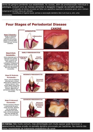 dente da gengiva perdendo sua estabilidade. As causas, além da predisposição individual à
patologia, incluem erro de manejo alimentar e desgaste irregular do esmalte dentário.
A remoção do tártaro só pode ser feita com aparelhos especiais e anestesia geral, pois o tártaro
subgengival também deve ser retirado.
A profilaxia é higiene bucal, porisso a escovação dentária não é um luxo e, sim, uma
necessidade.
2) Cáries: Não muito comum, mas alimentação com muito açúcar pode favorecer o
aparecimento dessa erosão no esmalte dentário provocado por bactérias. Na maioria das
vezes necessitando de tratamento endodôntico de canal.
 