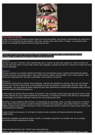 Escovação de Dentes:
à rigor a escovação só precisa começar depois da troca dos dentes, mas existe a necessidade de acostumar o
animal com o processo da escovação e, para isso, quanto mais cedo melhor. À seguir, um esquema para
ajudar na aceitação da higiene bucal por parte do seu pet:
Semana 1
Brinque com a escova por fora da boca. Esfregue-a na cabeça, focinho, orelhas como se fosse uma
brincadeira. Deixe o animalzinho morder a escova se ele quiser.
Semana 2
Comece a escovar o focinho e leve rapidamente para o interior da boca sem segurá-lo. Prefira horários em
que ele está mais calmo. Procure falar manso sem agitação e quando ele permitir a escova no interior da boca
mostre satisfação.
Semana 3
Comece a escovar os incisivos (dentes da frente) com movimentos suaves. Sempre demonstrando alegria
quando ele deixa a escovação seguir. Faça carinho antes e depois da escovação. Leve-o para passear, caso
tenha se comportado bem durante a escovação, como prêmio e incentivo.
Semana 4
Finalmente vamos para os dentes mais profundos. Sempre com paciência e carinho. Mais uma vez comece
sempre com carinho e demonstre a sua satisfação quando ele permite a manipulação da boca. Caso haja
necessidade, use uma pasta de dente específica para cães (dentrificios humanos são engolidos pelos animais
podendo causar problemas gástricos).
A Escovação dos dentes deve ser diária, se possível, mas o período mínimo para que seja eficaz seria a cada
03 dias (período em que a placa bacteriana se mineraliza). A limpeza de Tártaros não elimina a necessidade
de escovação, os tártaros retornam mesmo com uma limpeza bem feita.
Biscoitos e ossos sintéticos não eliminam a necessidade de escovação, aliás, sua ação é pequena na higiene
bucal. Ossos naturais ajudam a quebrar cálculos dentários mais avançados, mas podem fraturar os dentes.
Rações úmidas e semi-úmidas favorecem muito a formação dos tártaros, prefira as rações secas mesmo com
a periodontite já instalada.
A ação mecânica da escova é o principal na higiene bucal, produtos de limpeza dentária são apenas
coadjuvantes.
Bactérias instaladas nos tártaros podem invadir a circulação sanguinea e se instalar nos rins e coração,
provocando sérios problemas de saúde.
Vídeo de adestramento com "clicker" para escovação dos
dentes: http://www.youtube.com/watch?v=nhLI0JSzTY0&feature=BFa&list=UL78nWNqf8l2w&lf=mfu_in_order
 