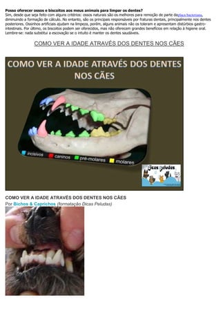 Posso oferecer ossos e biscoitos aos meus animais para limpar os dentes?
Sim, desde que seja feito com alguns critérios: ossos naturais são os melhores para remoção de parte daplaca bacteriana,
diminuindo a formação de cálculo. No entanto, são os principais responsáveis por fraturas dentais, principalmente nos dentes
posteriores. Ossinhos artificiais ajudam na limpeza, porém, alguns animais não os toleram e apresentam distúrbios gastro-
intestinais. Por último, os biscoitos podem ser oferecidos, mas não oferecem grandes benefícios em relação à higiene oral.
Lembre-se: nada substitui a escovação se o intuito é manter os dentes saudáveis.
COMO VER A IDADE ATRAVÉS DOS DENTES NOS CÃES
COMO VER A IDADE ATRAVÉS DOS DENTES NOS CÃES
Por Bichos & Caprichos (formatação Dicas Peludas)
 